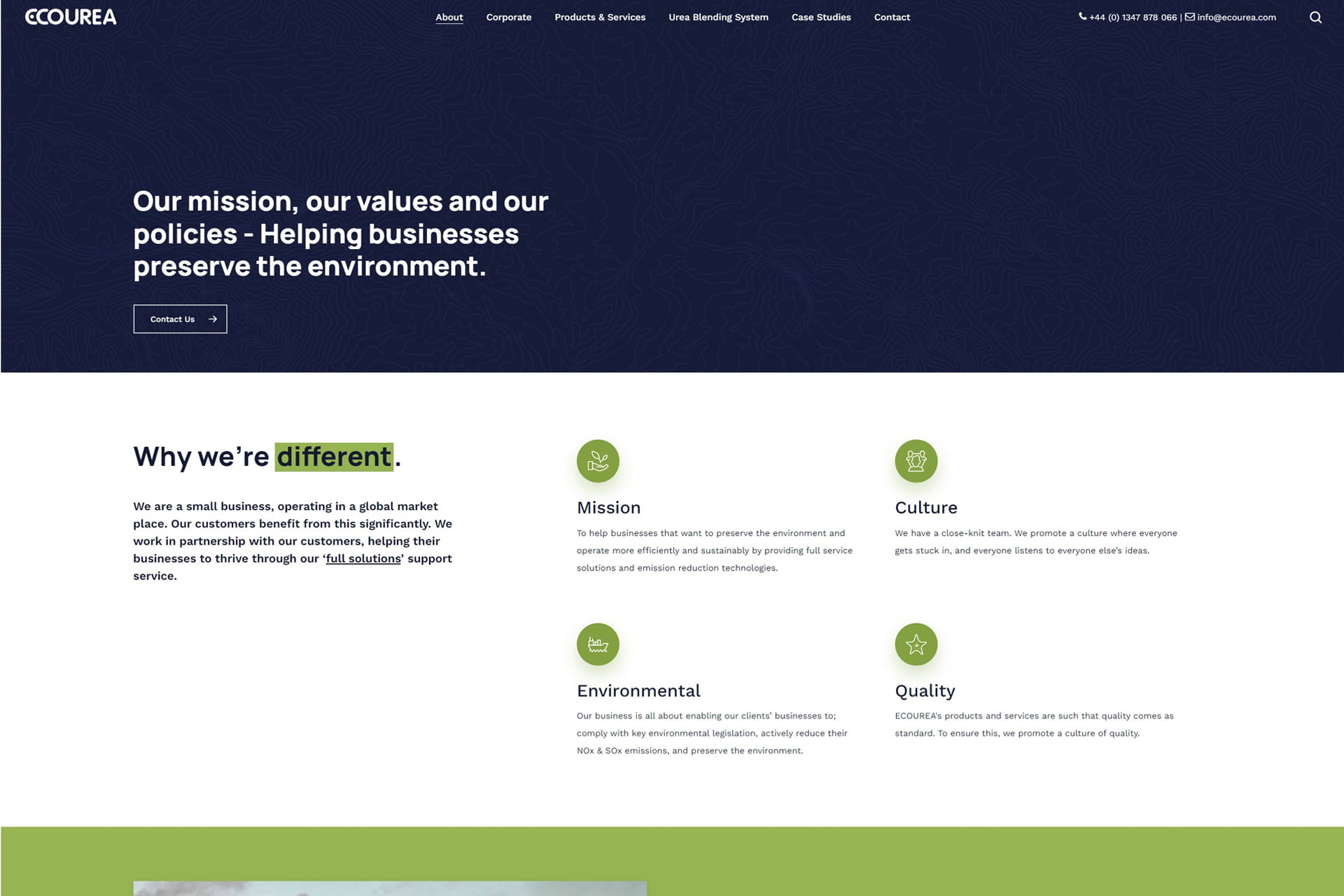 Bird Marketing agency's portfolio