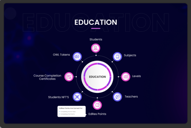 Seasia Infotech agency's portfolio