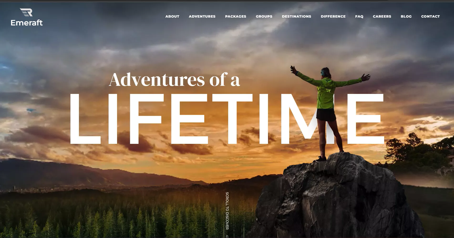 Intactdia agency's portfolio