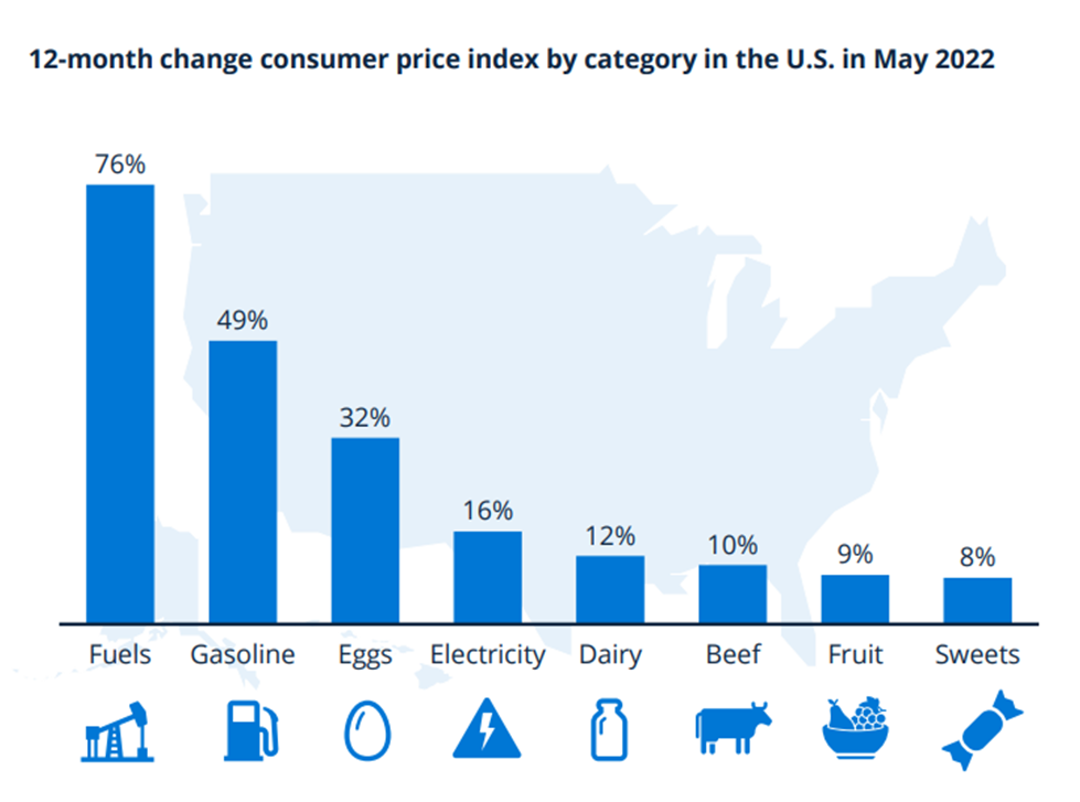 12 month change consumer price index by category in the US