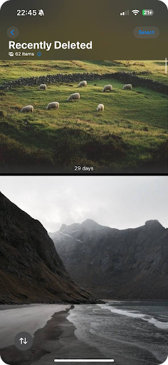Recently Deleted folder in the Photos and Files Apps